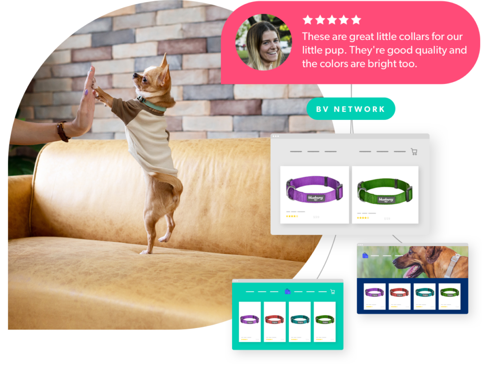 Drive Advocacy Bazaarvoice