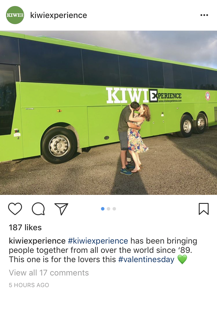 kiwi experience valentines day holiday social media campaign